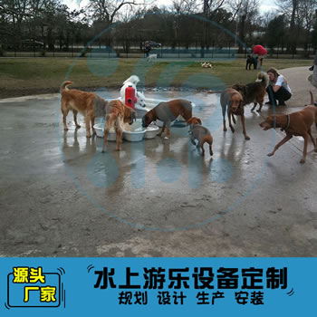 萌寵水上樂園