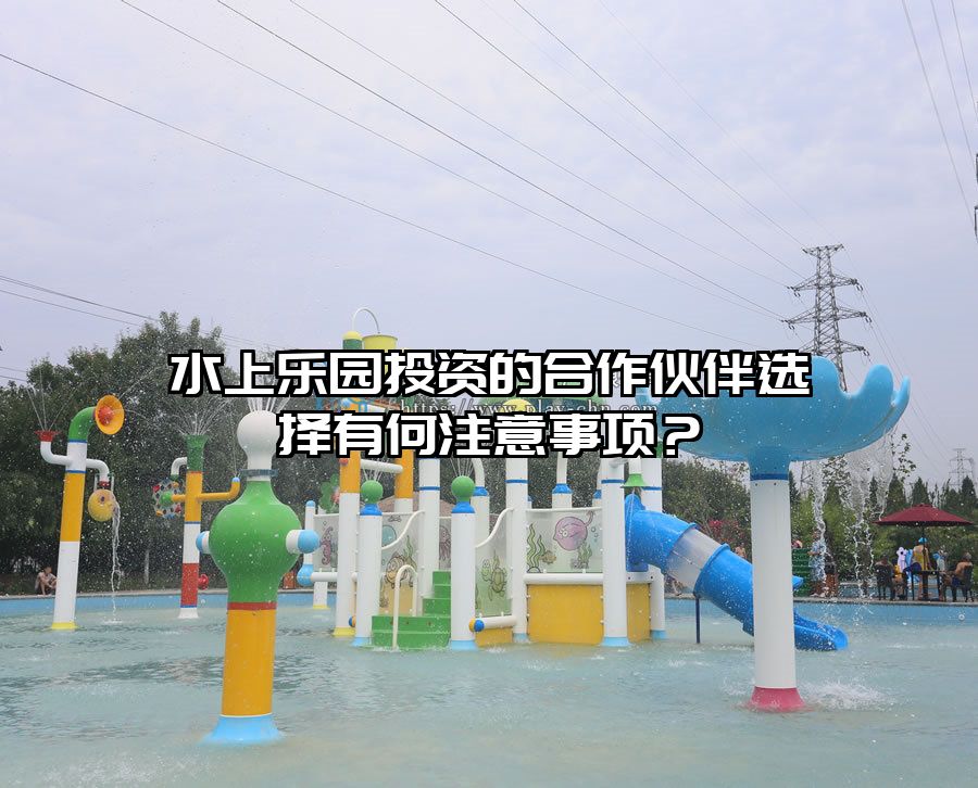 水上樂園投資的合作伙伴選擇有何注意事項？